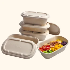 Custom Biodegradable Food Packaging Disposable Bagasse Takeaway Food Container With Lid