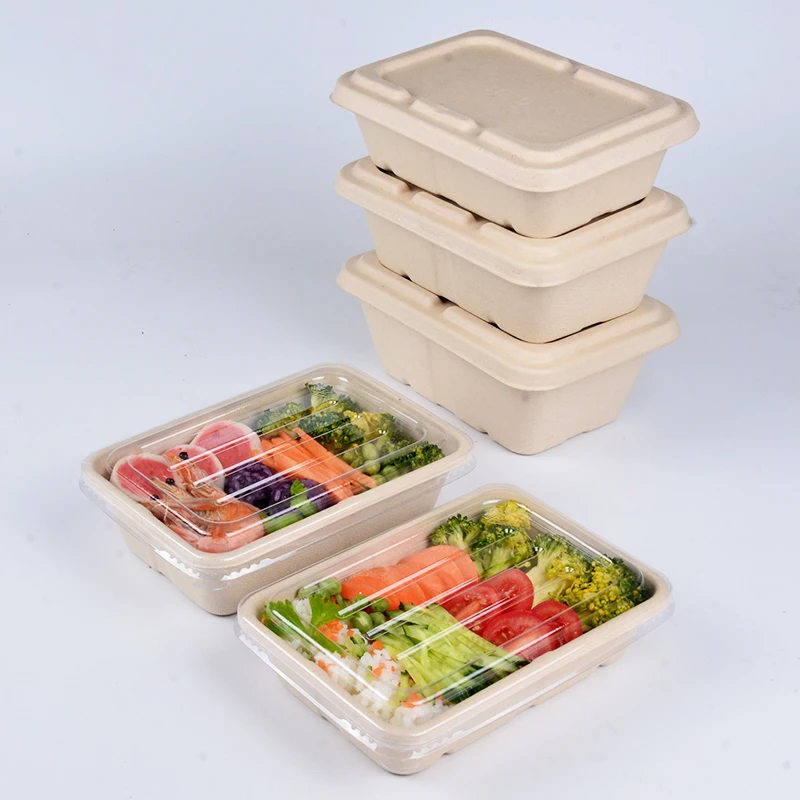 500ml Eco Friendly Rectangular Sugarcane Bagasse Fast Food Lunch Container Compostable Pulp Food Box - Image 3