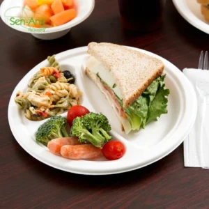 Can Paper Color Square Dinner Diner Restaurant Disposable Sugar Cane Waste Plate