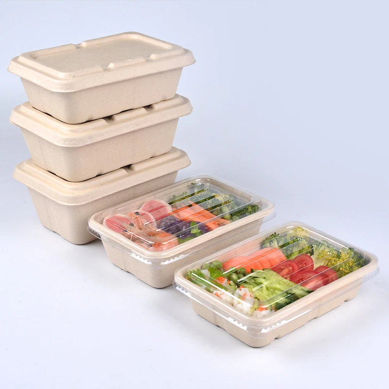 650ml Eco-friendly Disposable Biodegradable Bagasse Take Away To-go Food Container Sugarcane Pulp Lunch Box - Image 4