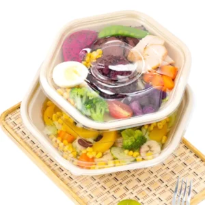 Customizable Biodegradable Hexagonal Sugarcane Bagasse Pulp Salad Bowl with Lid Accessory for Food Packaging and Camping
