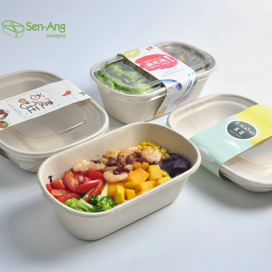 New Arrival Shallow 5 Compartment Tray 4 Vaso Biodegradable Custom Compost 700Ml Sugarcane Pulp Tableware Bagasse Plate - Image 6