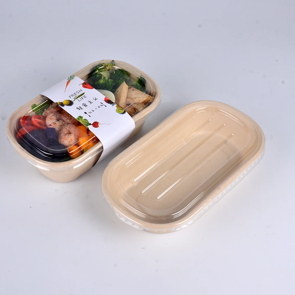 Takeout Bagasse Food Takeaway Biodegradable Pulp Cake Container Sustainable Sugarcane Fibre Box - Image 3