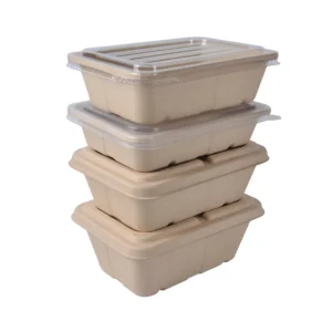 Disposable 700ml 850ml 1000ml Paper Pulp Bagasse Sugarcane Biodegradable Packaging for Food