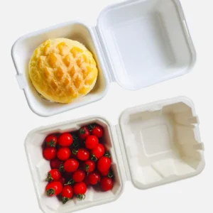 8'' Disposable Takeaway Bagasse Compostable Tableware Food Packaging Sugarcane Biodegradable Box Clamshell Container