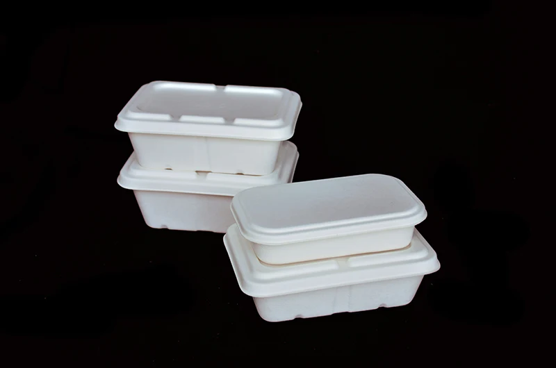 Wholesale Custom Disposable Biodegradable Food Packaging Container with Lid - Image 6