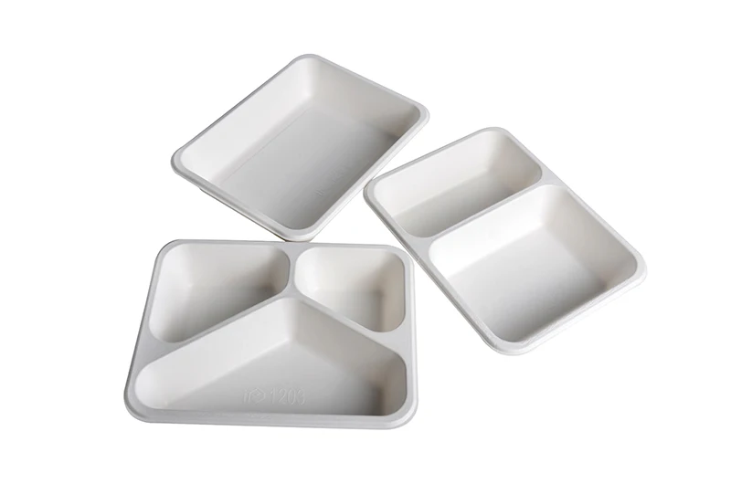 Eco Party Biodegradable Sugarcane Pulp Tableware Bagasse Plate - Image 4