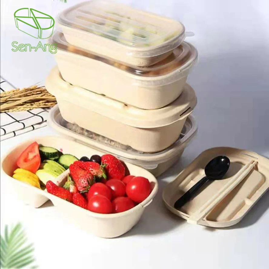 Takeout Bagasse Food Takeaway Biodegradable Pulp Cake Container Sustainable Sugarcane Fibre Box