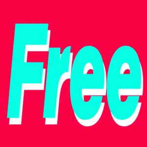 Custom Design Black White Handles Luxury With Your Own Logo Clothing Shoes Gift Paper Bag With Handle