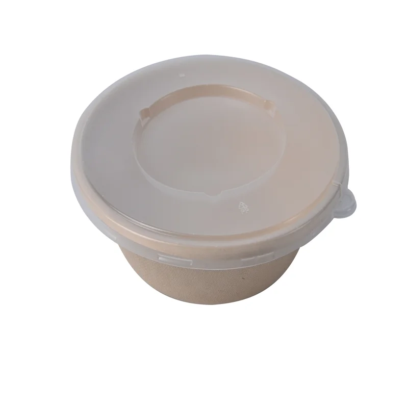 Disposable Biodegradable Lunch Paper Pulp Food Sugarcane Bagasse Bowl With Lid - Image 6