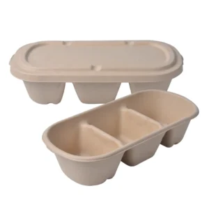 Disposable 700ml 850ml 1000ml Paper Pulp Sugarcane Bagasse Biodegradable Lunch Box