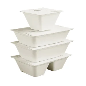 100% Pulp Compostable Disposable Sugarcane Bagasse Box Eco Friendly Take Away Lunch Box Clamshell With Lid
