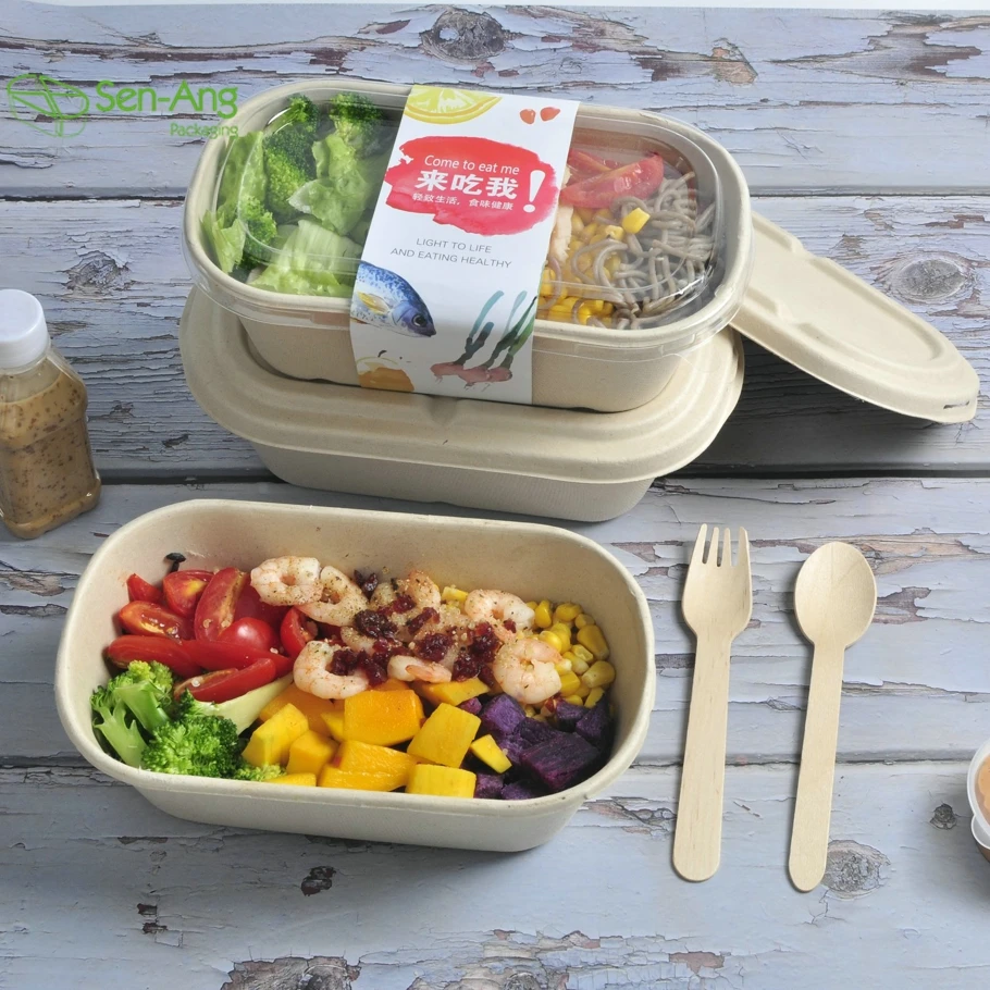 New Arrival Shallow 5 Compartment Tray 4 Vaso Biodegradable Custom Compost 700Ml Sugarcane Pulp Tableware Bagasse Plate - Image 2
