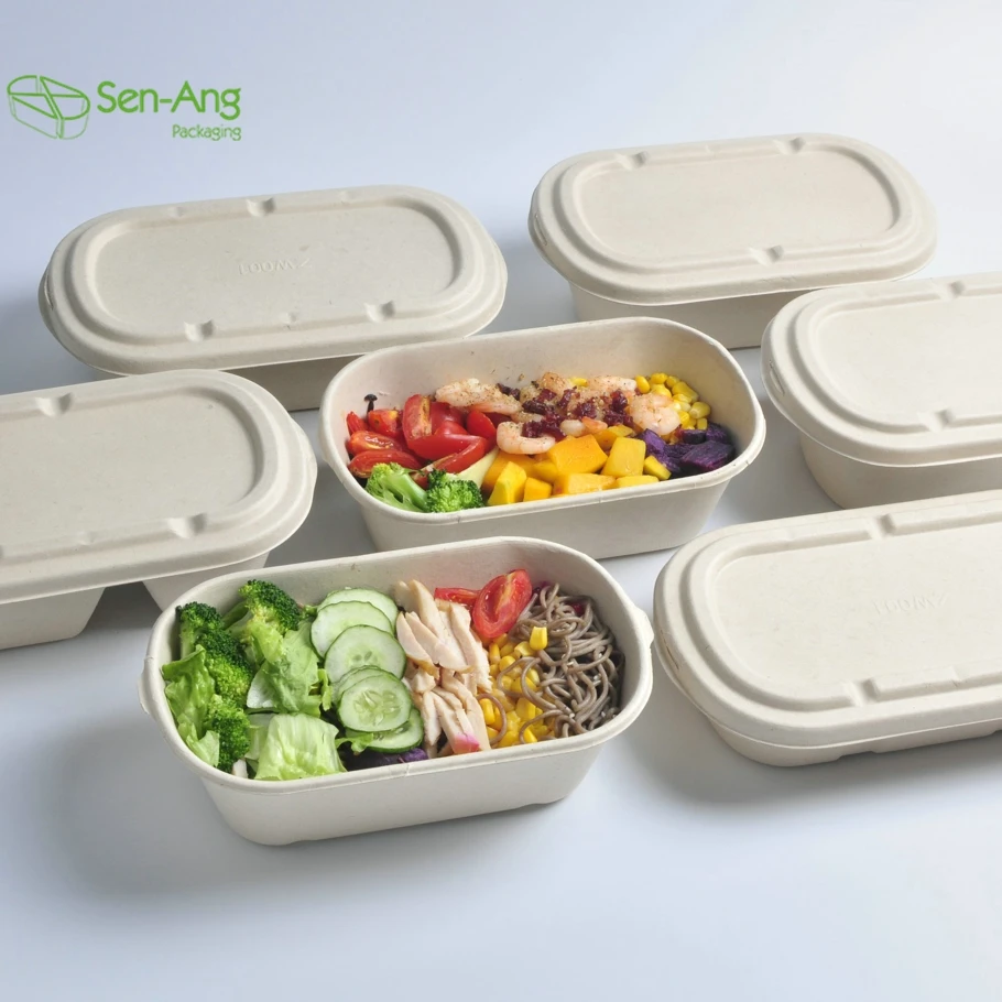 Bagasse Pulp Food Packaging Container Eco Friendly Biodegradable Sugarcane Box - Image 5