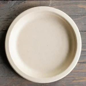 Eco Party Biodegradable Sugarcane Pulp Tableware Bagasse Plate