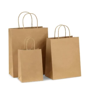 Degradable Recyclable Kraft Paper Packing Bag with Offset Printing Custom Sizes Food-Safe for Salad Use