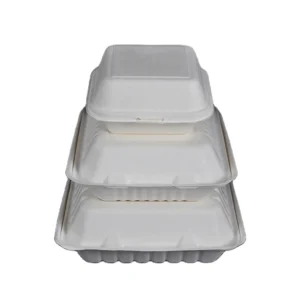 Clamshell Biodegradable Pulp Bagasse Fast Food Container