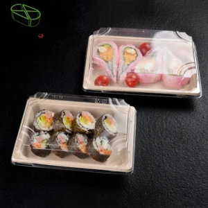 Set Serving Round Plastic Square Pla Packaging Melamine Eco-Friendly Sushi Tray Yt