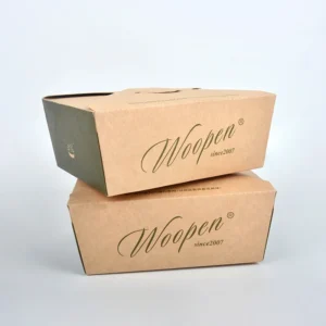 Customized Disposable Kraft Food Packaging Take Away Box
