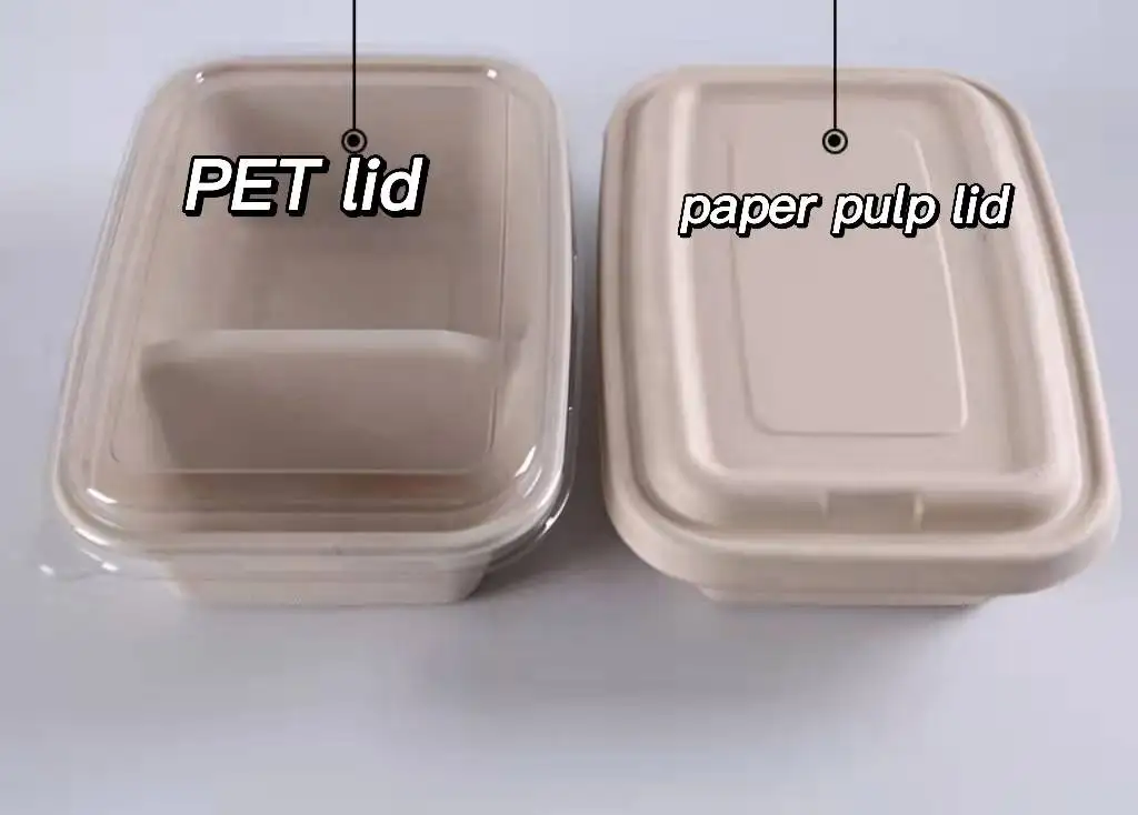 Custom Biodegradable Sugarcane Bagasse Pulp Rectangle Take Away Meal Box with Lid - Image 3