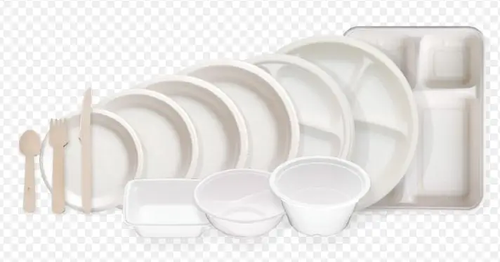 Biodegradable Bagasse Food Plate Disposable Fast Food Dinner Round Plate - Image 3