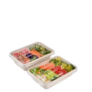 750ml Biodegradable Sugarcane Takeaway Rectangle Salad Bowl Bagasse Pulp Food Container