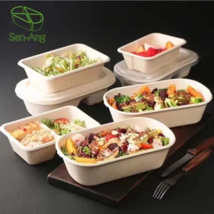 Tray Sushi Container Sugarcanepulp Takeaway Bento Sugarcane Pulp 2 Compartment Lunch Box With Lid