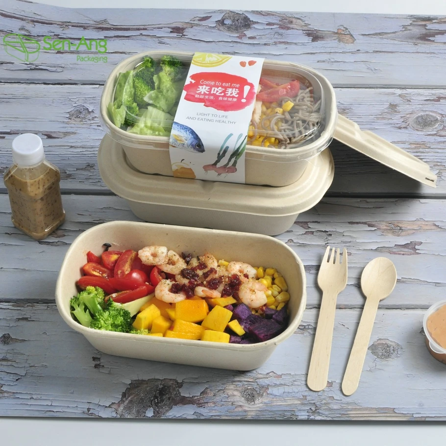 Factory Wholesale Disposable Paper 800Ml Sugarcane Pulp Food Lid Compartment Clam Shell Take Away Bagasse Box - Image 5