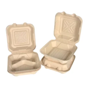 Food Lunch Box 1 2 3 Compartment Sugar Cane Shipping Pulp Sugarcane Bagasse Hamburger Clamshell Container