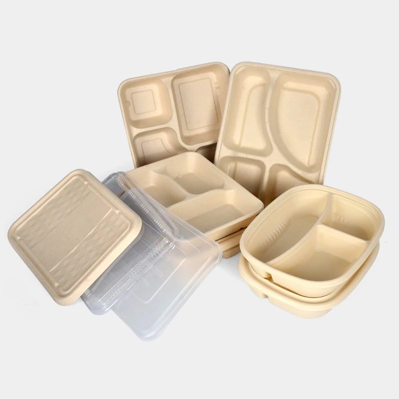 Morden Style Take Away Bagasse Box Clamshell Chinese Food Sugarcane Fpharmaceutical Container Pulp Box - Image 5