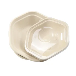 Customizable Biodegradable Hexagonal Sugarcane Bagasse Pulp Salad Bowl with Lid Accessory for Food Packaging and Camping