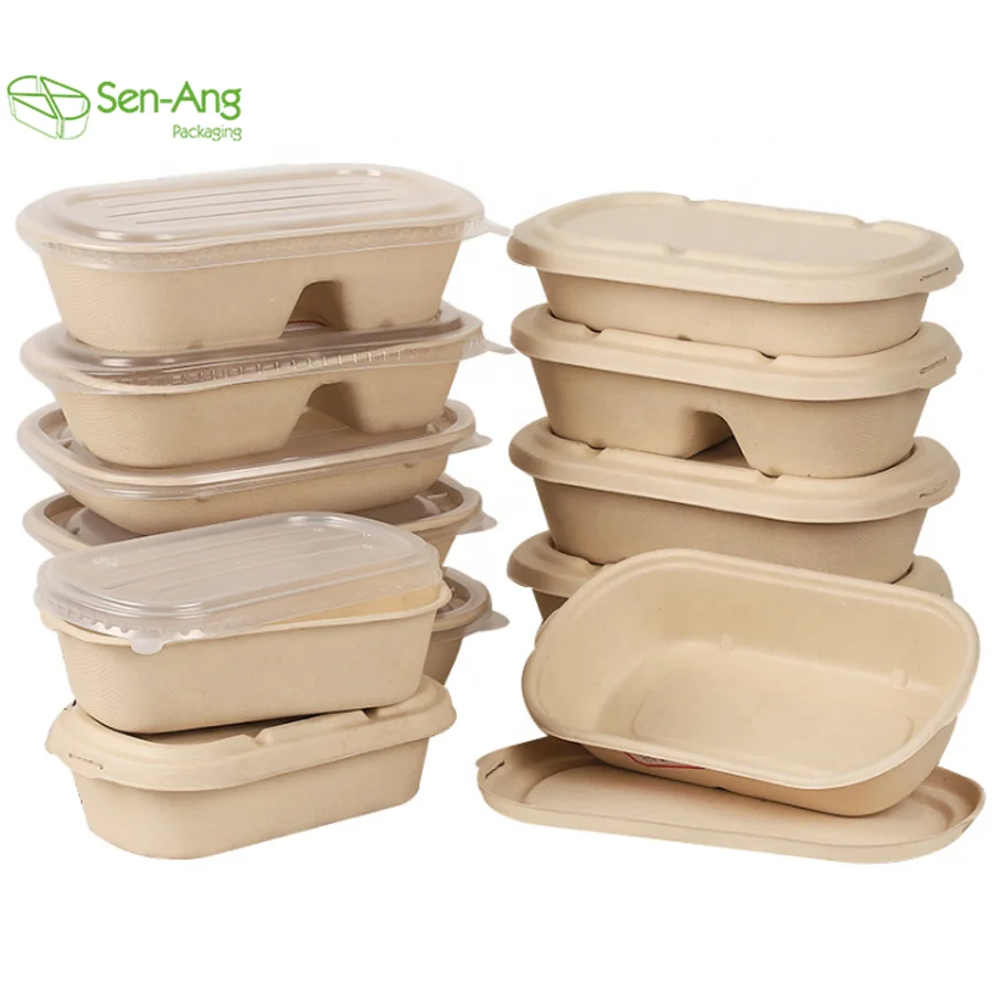New Arrival Sushi Container Sugarcanepulp Sugarcanebentolunchbox 700Ml Sustainable Sugarcane Fibre Box - Image 2