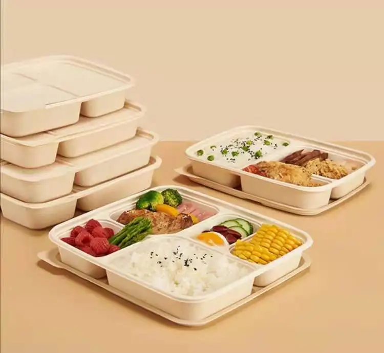 Microwavable Rectangle Sugarcane Pulp Bento Take Away Box 8 Inch 3 Compartment Food Container - Image 5