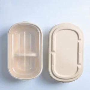 Top Fashion Takeaway Bento Box Biodegradable Food Container Oval Disposable Square Tray for Christmas