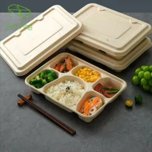 Factory Tray Take Away Food Plate Multi Takeaway Bento Sugarcane Pulp 2 Compartment Lunch Box With Lid