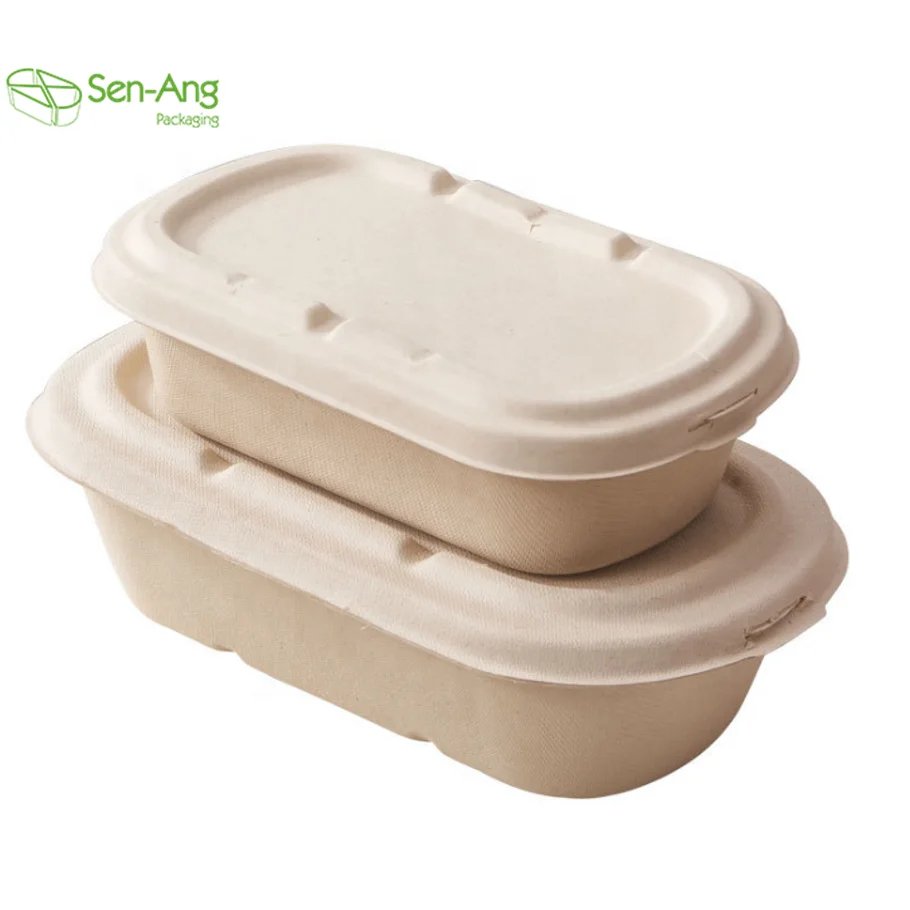 New Arrival Sushi Container Sugarcanepulp Sugarcanebentolunchbox 700Ml Sustainable Sugarcane Fibre Box - Image 3