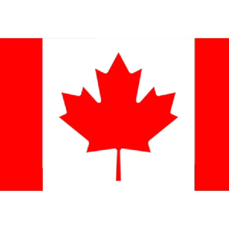 White Brown Takeout Round Waterproof Oilproof Soup Disposable Kraft Paper Salad Bowl with Lid - Image 5