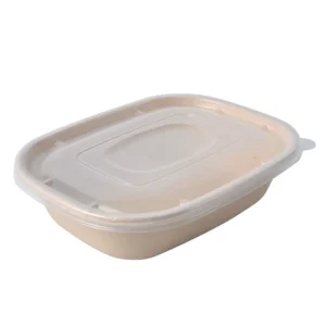Pulp Box Compost Biodegradable Wholesale Disposable Sugarcane Bagasse Paper Food Box with Lid