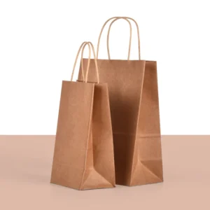 Full Color Recyclable Kraft Paper Bags for Packaging