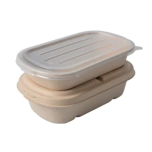 Disposable 700ml 850ml 1000ml Paper Pulp Bagasse Biodegradable Lunch Sugarcane Box