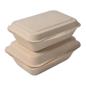 Hot Selling Bneto Take Away Bento Triple Cell Sugarcane Pulp Clamshell Cake ClamShell