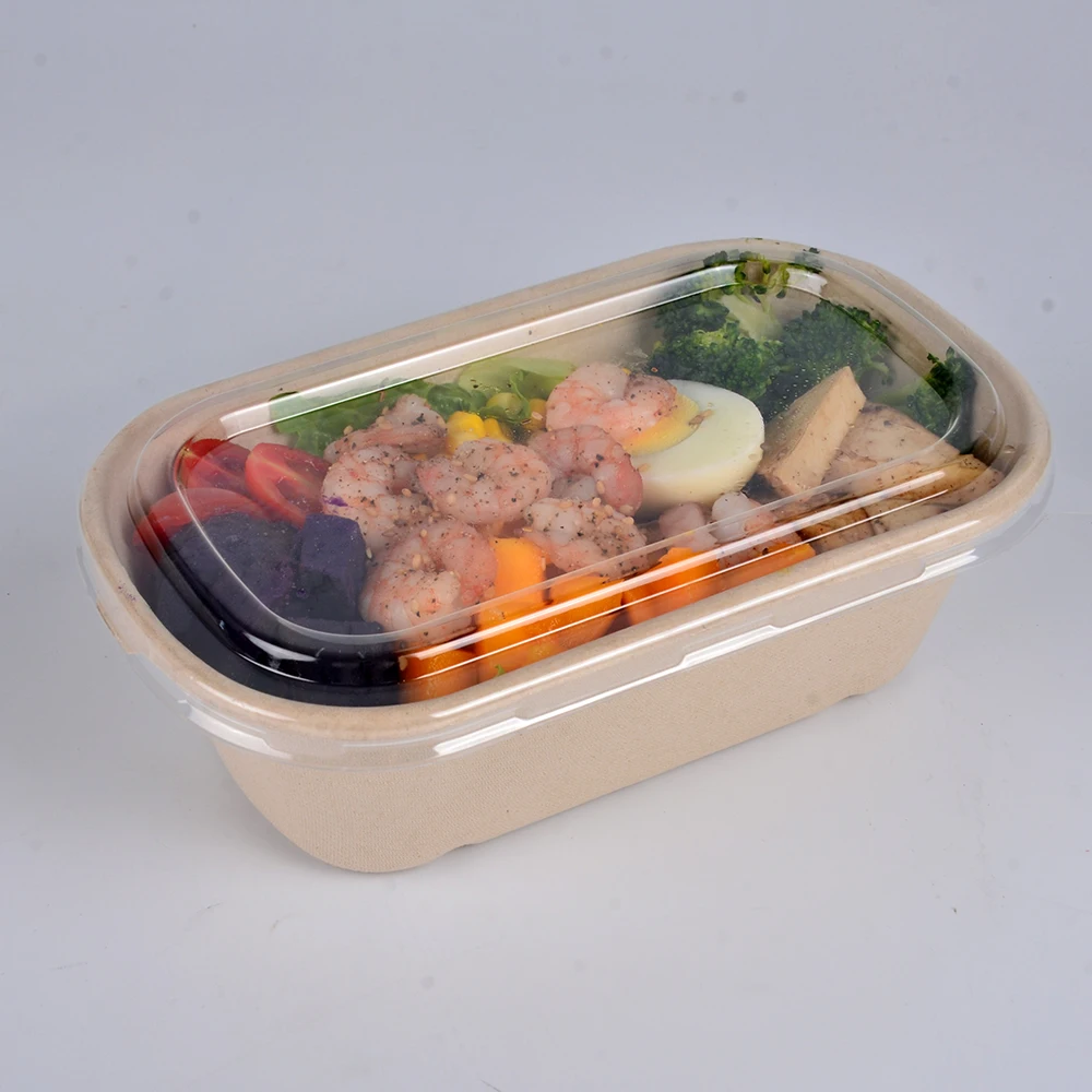 Disposable 850ml 1000ml 1300ml Matt Lamination Paper Pulp Bagasse Sugarcane Biodegradable Food Packaging - Image 6