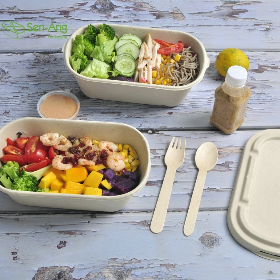 Factory Wholesale Disposable Paper 800Ml Sugarcane Pulp Food Lid Compartment Clam Shell Take Away Bagasse Box - Image 4