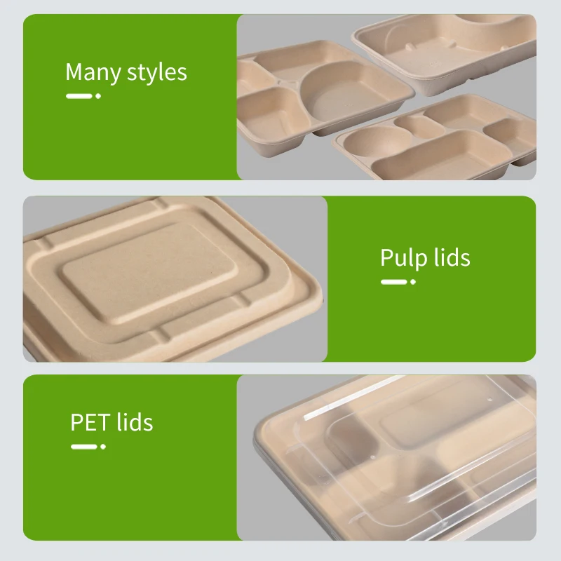 Morden Style Take Away Bagasse Box Clamshell Chinese Food Sugarcane Fpharmaceutical Container Pulp Box - Image 6