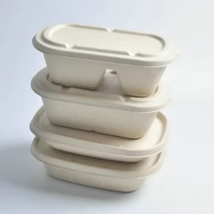 700ml 850ml 1000ml Disposable Bagasse Sugarcane Food Biodegradable Box Packaging