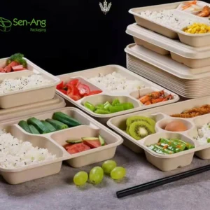 Original Container 3 Food White Square Pulp Burger Box Sugarcane Compartment Tray With Lid