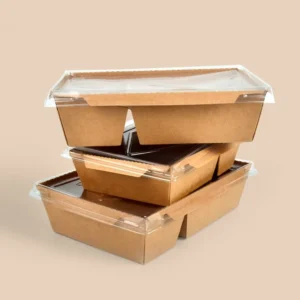 the New Listing Pasta Take Away Box Paper Takeaway Packaging Lunch 900Ml 2 Compartment Food Container