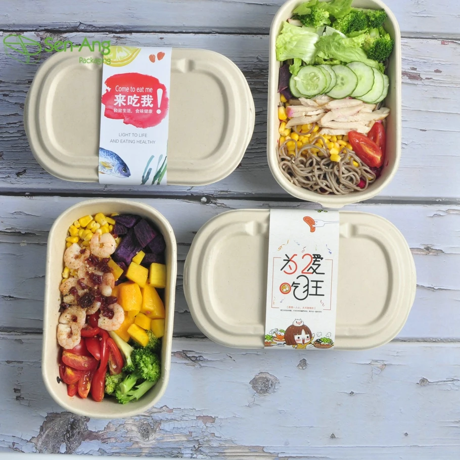 Bagasse Pulp Food Packaging Container Eco Friendly Biodegradable Sugarcane Box - Image 3