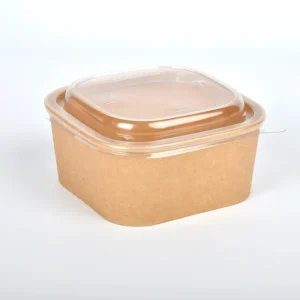 130 Disposable Eco-Friendly Food Grade Reusable Square Salad Bowls with PP Lids for Pet Food