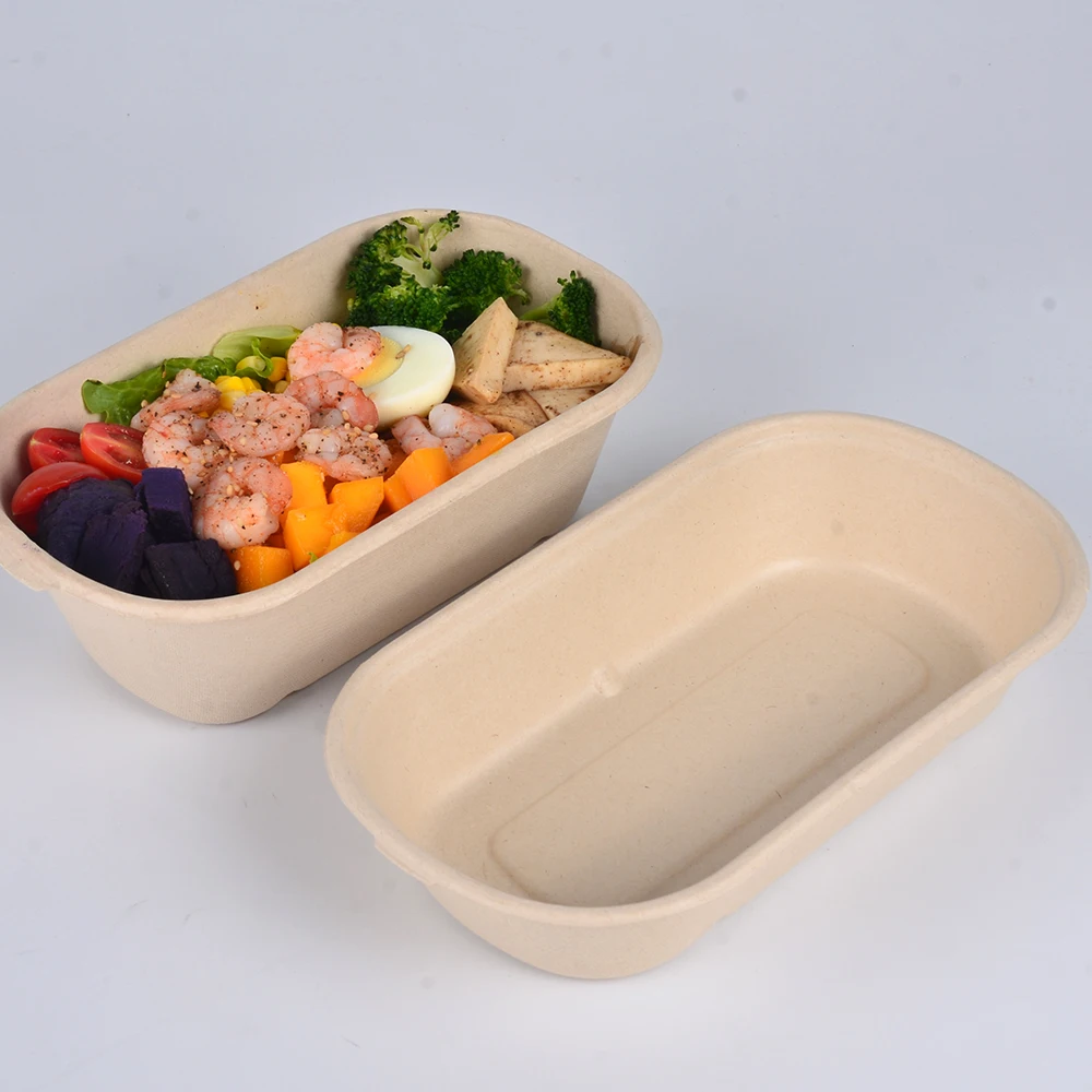 Morden Style Hinged Food Container Agasse Compost Able Disposable Wholesale Microwaveable Sugarcane Pulp Lunch Box - Image 4